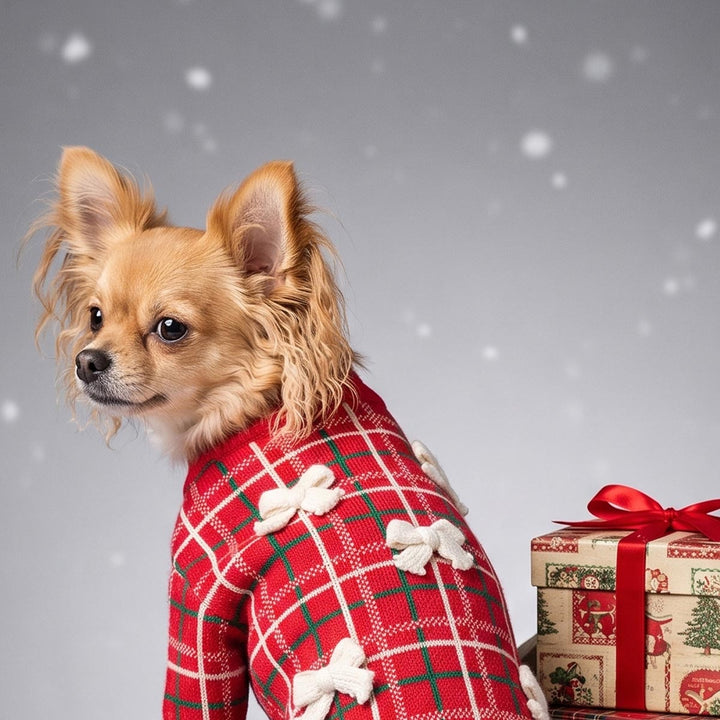 Small chihuahua sitting next to stacked Christmas gift boxes with a red holiday plaid sweater for dogs with white bows