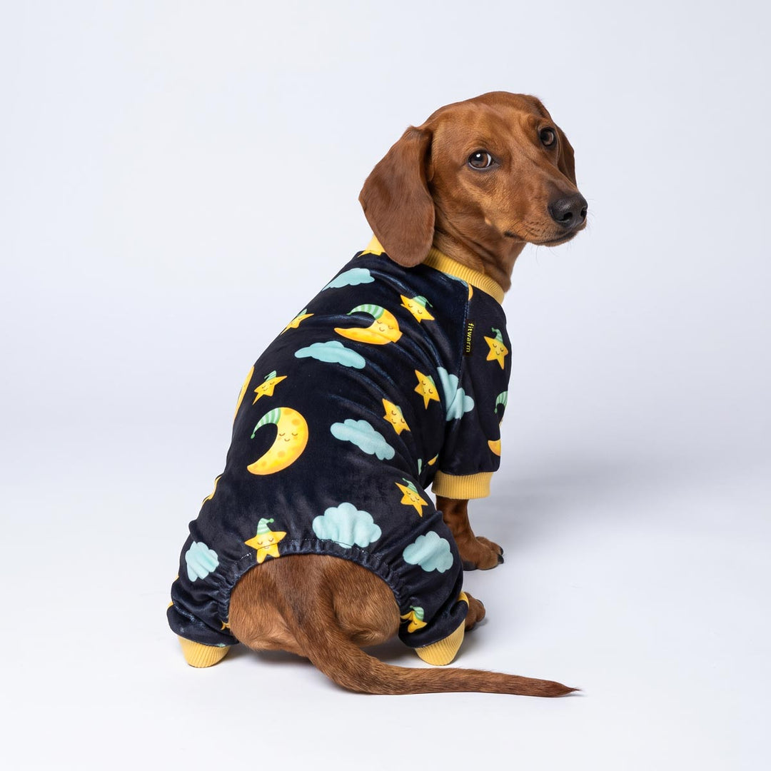 Back view of dachshund sitting on a white background with a moon and star dog onesie