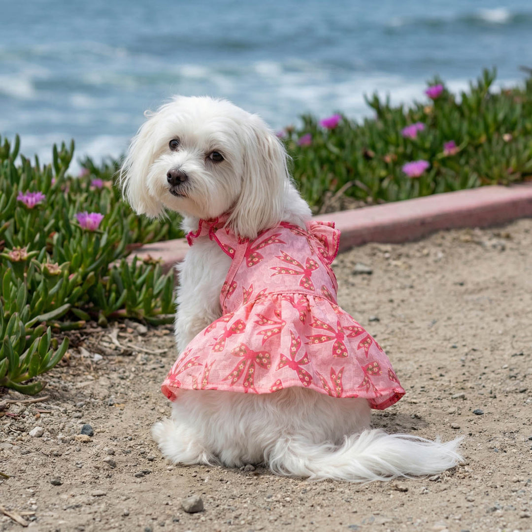 Small dog looks back in a pink bowknot dress for dogs