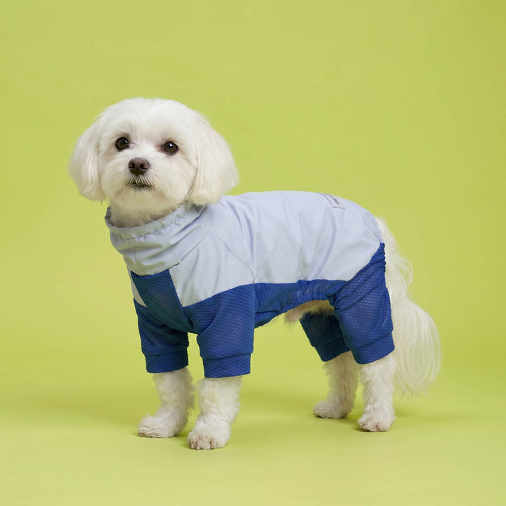 Small dog standing in a green background with a UV sun protection dog jumpsuit