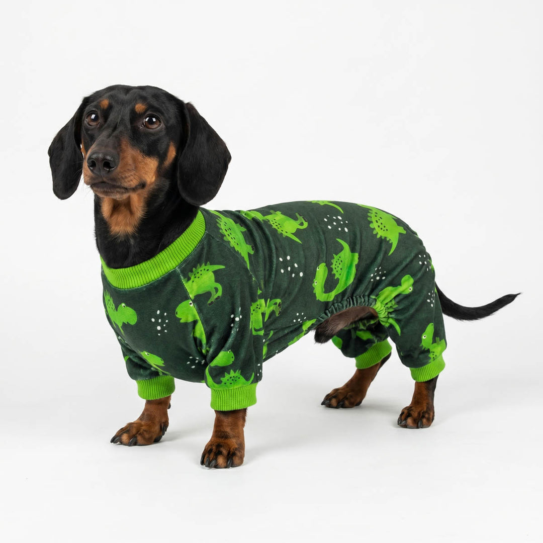 Dachshund wearing a green dinosaur-patterned pajamas on a white background