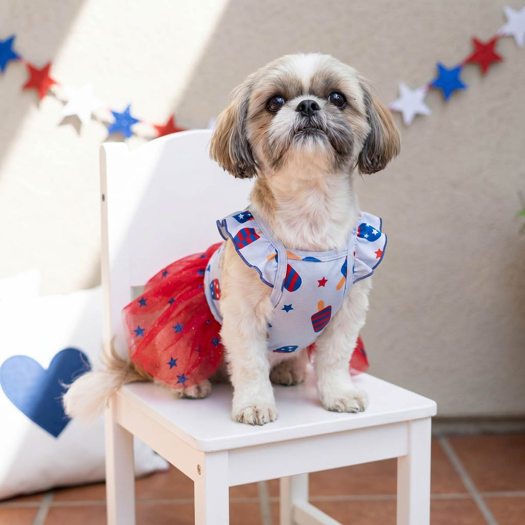 Shih tzu in a patriotic dog tutu dress on a chair