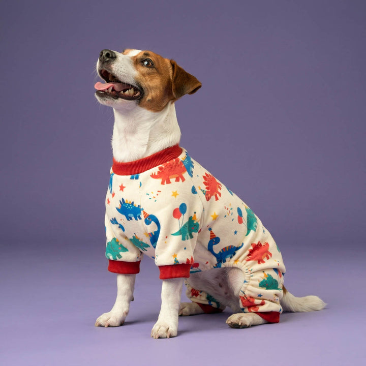 Dog wearing colorful pajamas for dogs with dinosaur pattern on a purple background