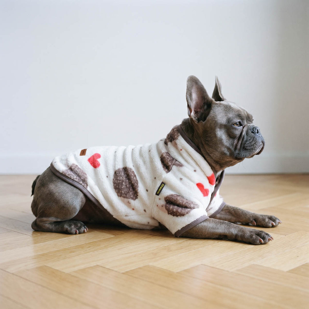 Gray French Bulldog lying on a light wooden floor, wearing a cream-colored fleece sweater for dogs