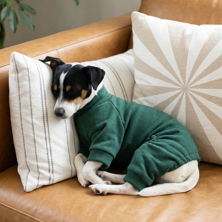 Small dog sleeping a on the couch in a green dog fleece pajamas