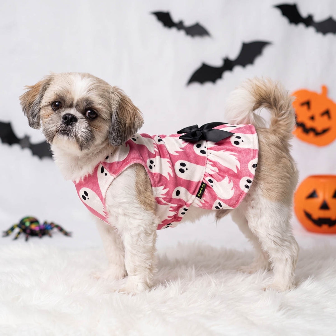 Spooky dog Halloween dress with ghost prints worn by a small dog standing on a fur blanket