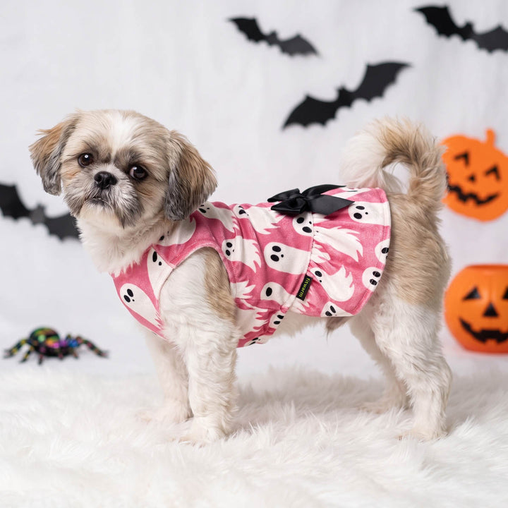 Spooky dog Halloween dress with ghost prints worn by a small dog standing on a fur blanket