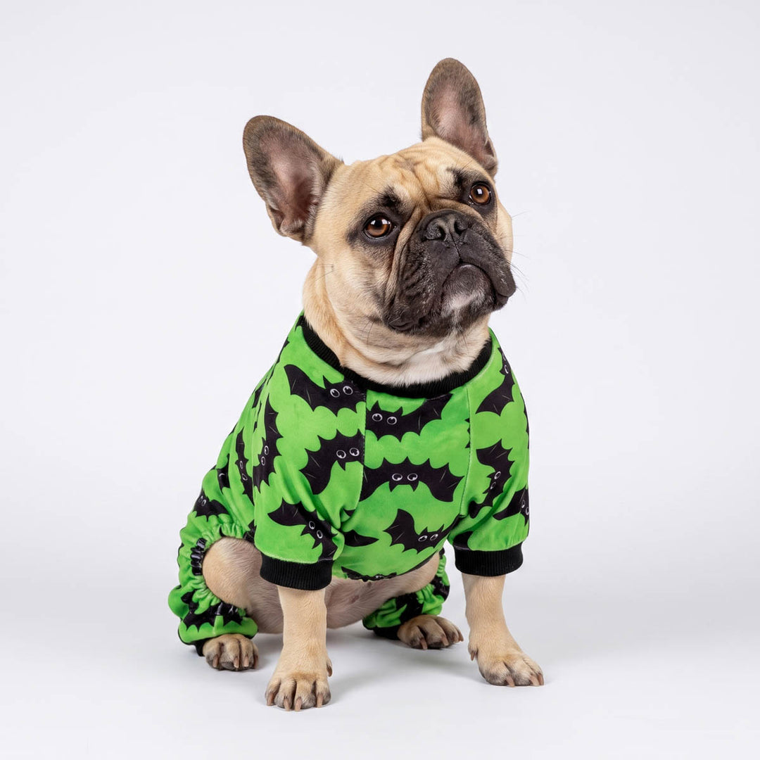 French Bulldog sitting on a white background with a spooky bat prints dog pjs