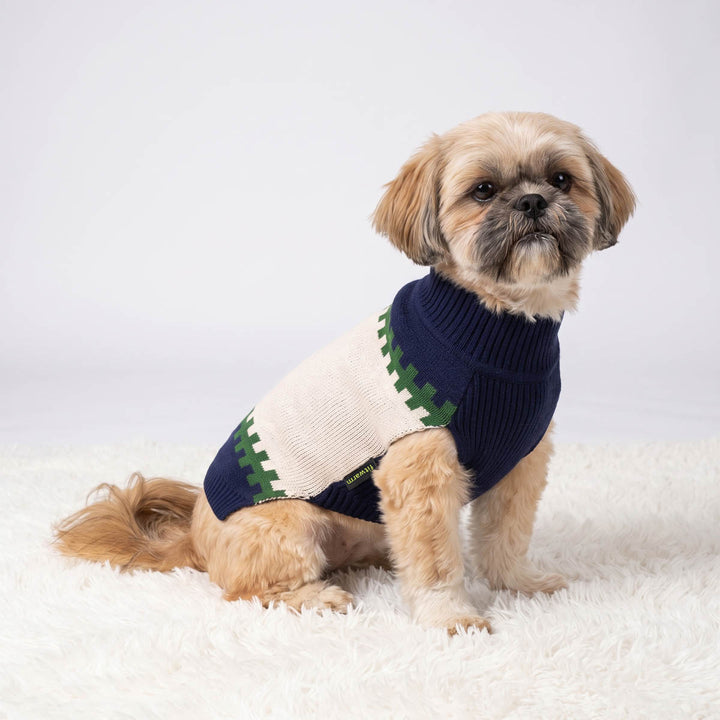 Shih tzu sitting on a blanket with a color block dog knitted sweater