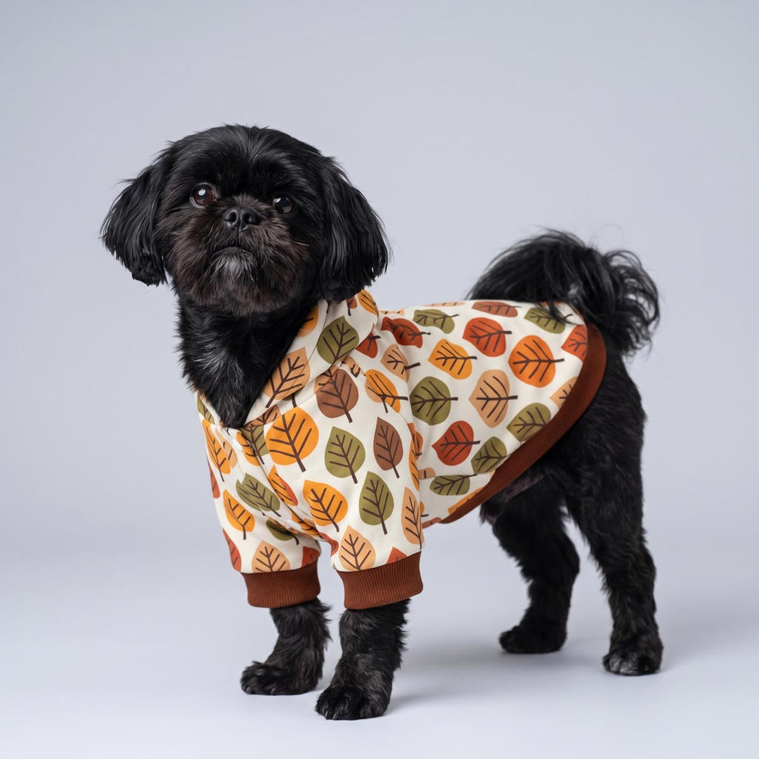 Small dog wearing a cozy hoodie for dogs with leaves prints on a white background
