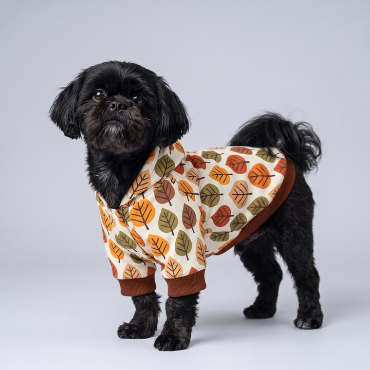 Small dog wearing a cozy hoodie for dogs with leaves prints on a white background