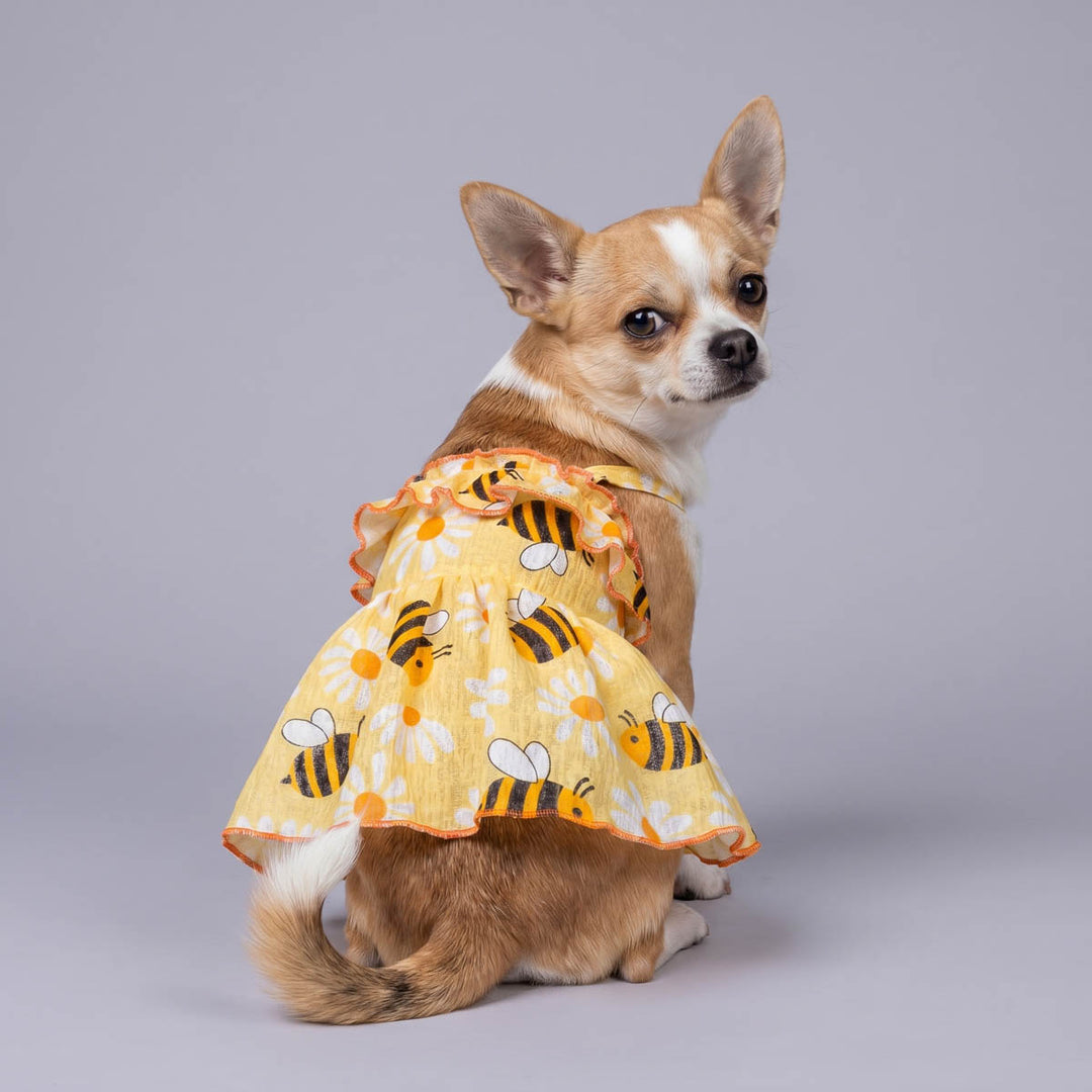 Bee Ruffle Dog Dress