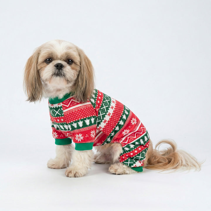 Dog wearing Christmas dog pjs with red and green festive patterns