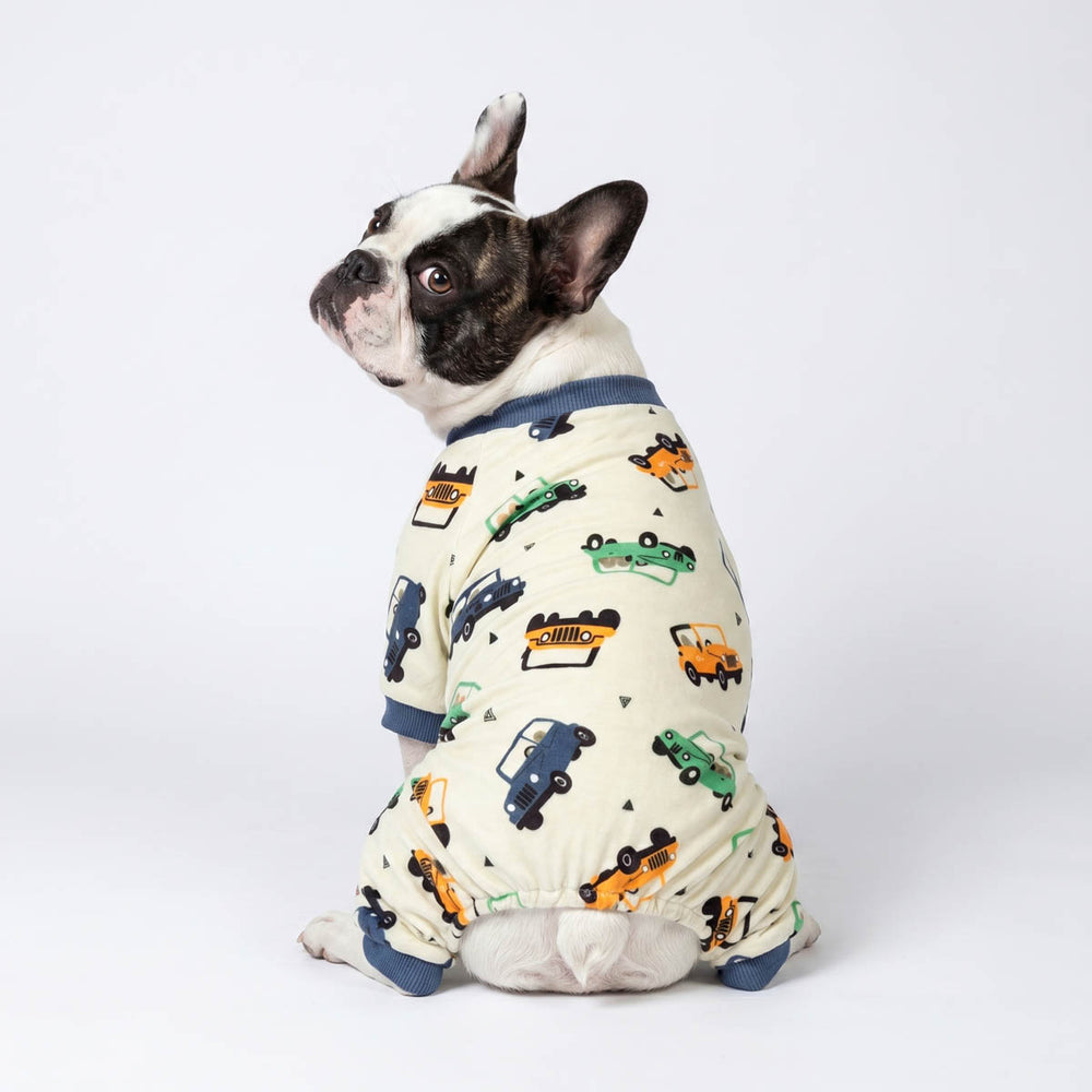 Back view of Boston Terrier in a dog pjs with car prints
