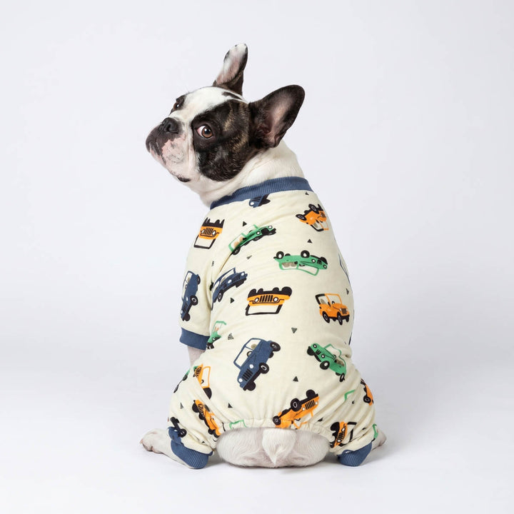 Back view of Boston Terrier in a dog pjs with car prints