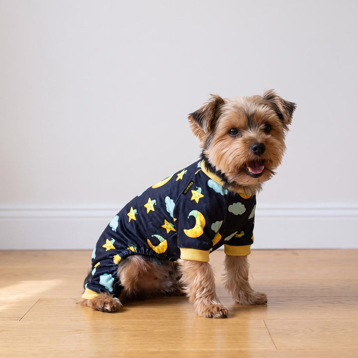 Small dog sitting on a light wood floor against a plain white wall, wearing a navy blue long-sleeve dog pjs with a yellow, light blue, and white stars and moons pattern