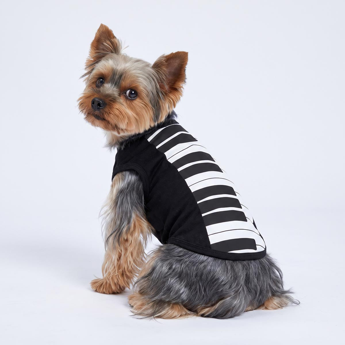 it-dogs スプリングドレスＭ Piano Dog Costume - Fitwarm