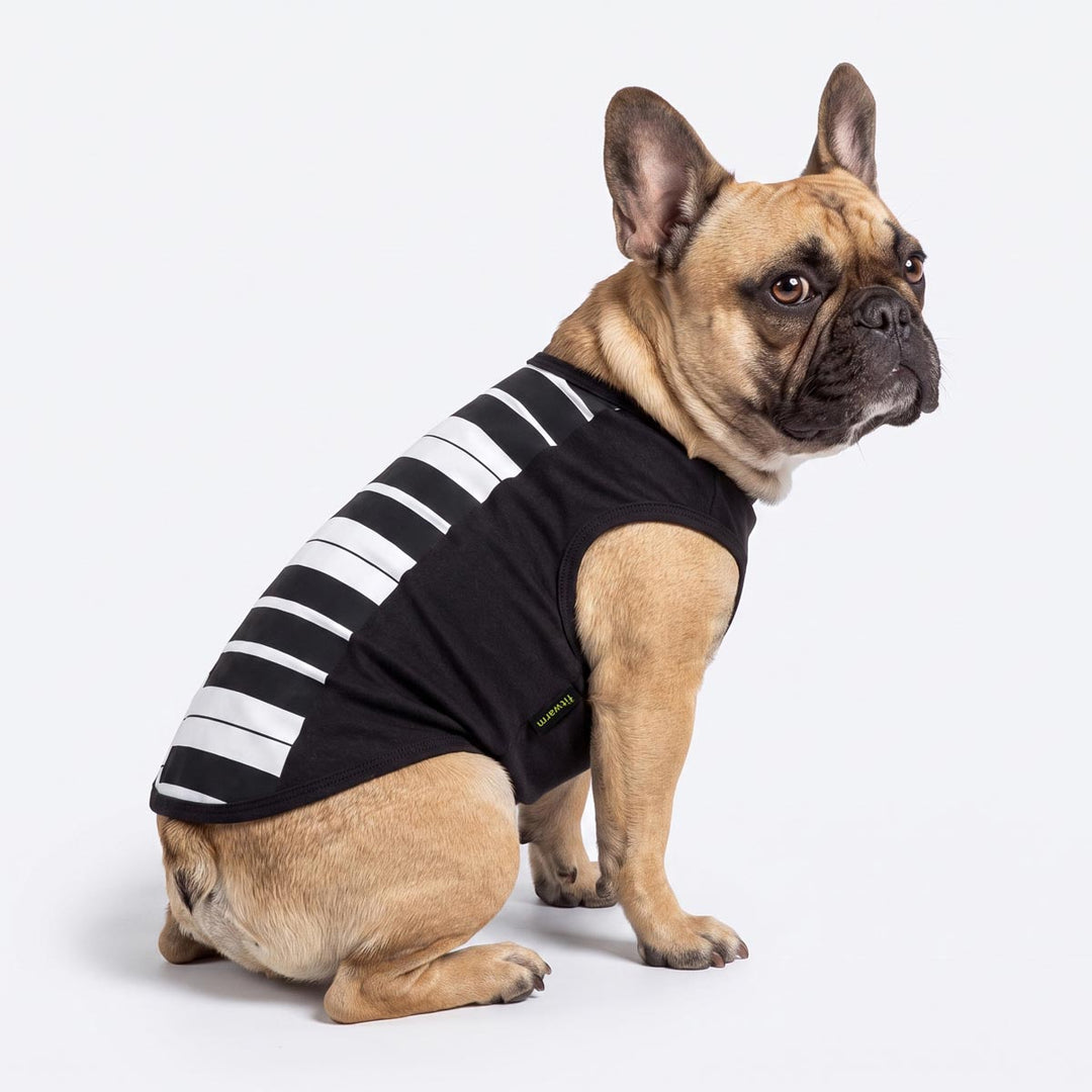 French Bulldog sitting on a white background in a piano dog Halloween costume
