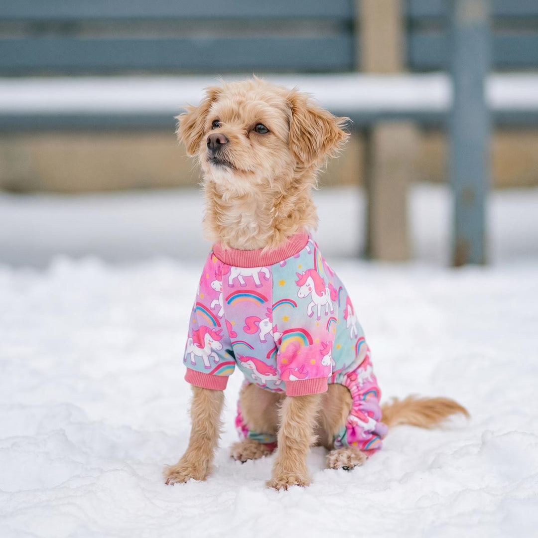 Small dog sitting on the snow in a pink dog pjs with a unicorn prints
