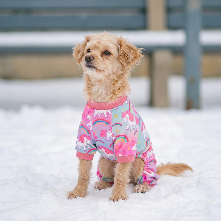 Small dog sitting on the snow in a pink dog pjs with a unicorn prints
