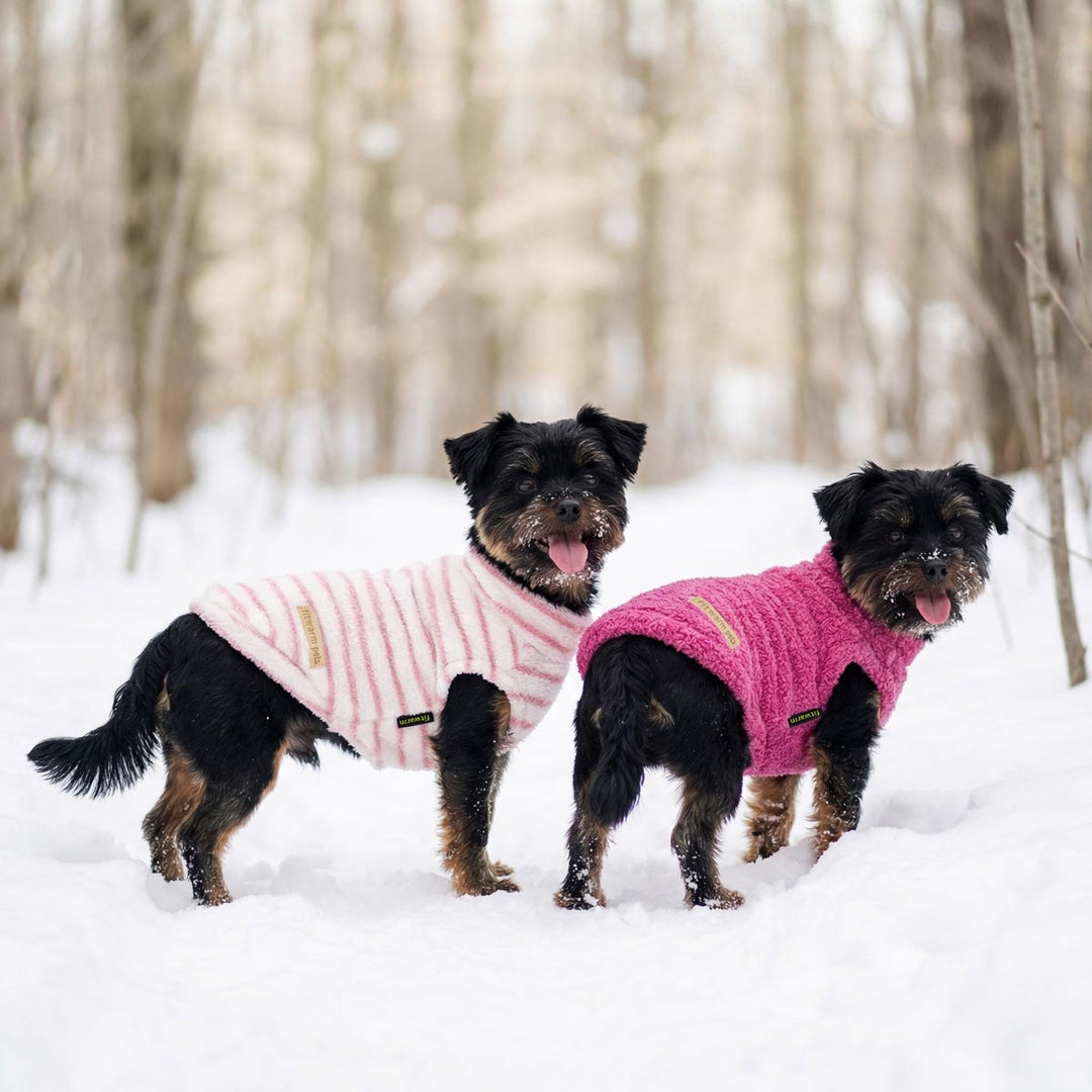 Small dog walking on the snow with a cozy 2 pack dog fleece sweaters with classic striped design