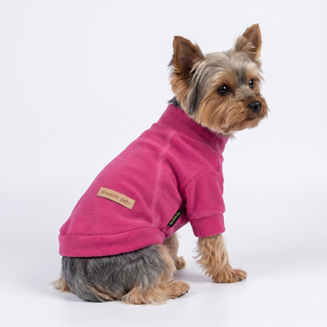 Back view of a Yorkie sitting on a white background with a turtleneck sweater for dogs