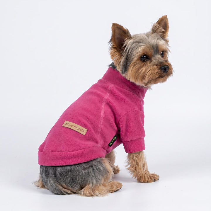 Back view of a Yorkie sitting on a white background with a turtleneck sweater for dogs