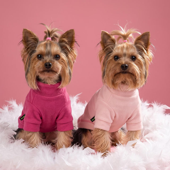 Two Yorkies sitting on a pink background and wearing a cozy dog turtleneck sweaters