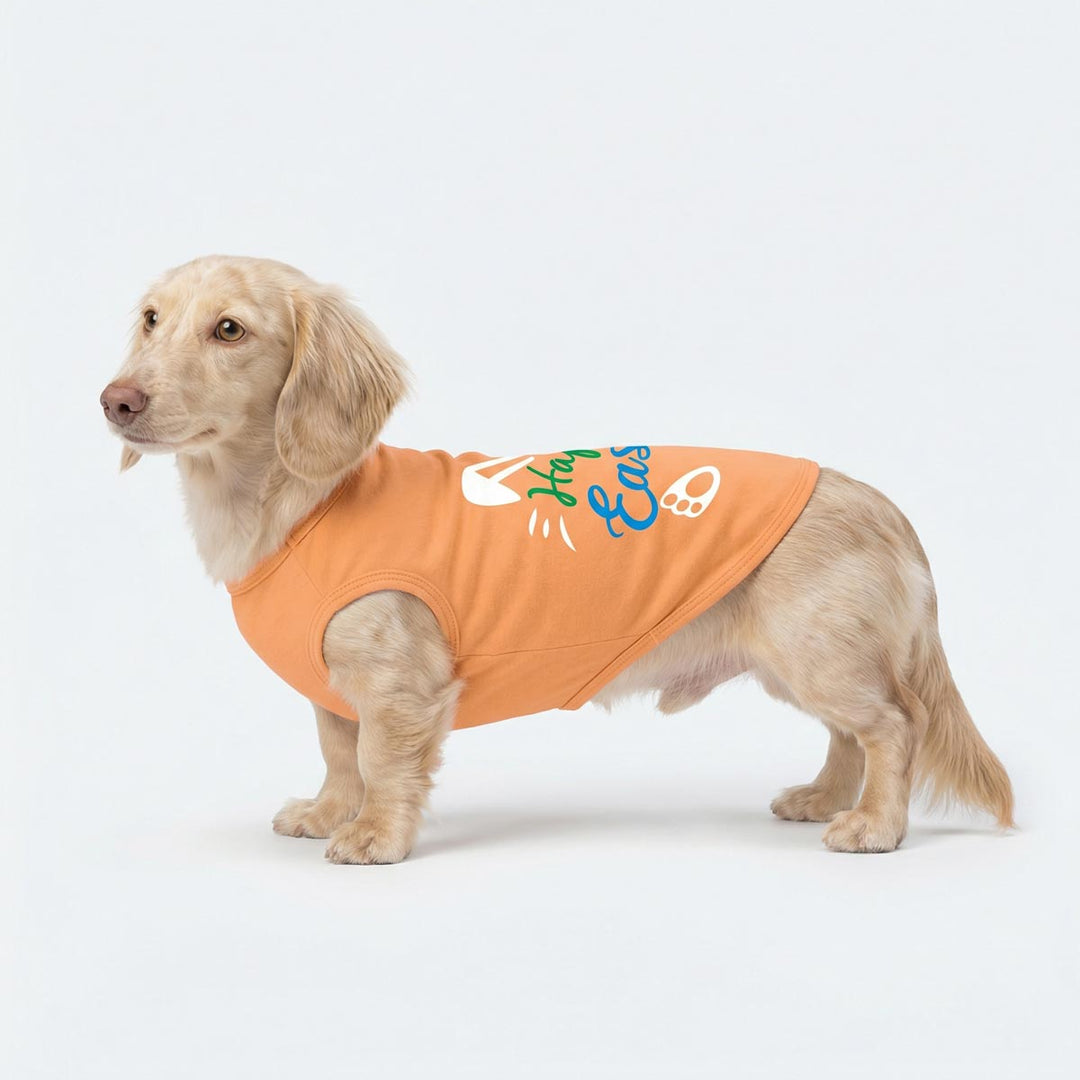 Dachshund in a light orange dog shirt with an Easter bunny and footprint design