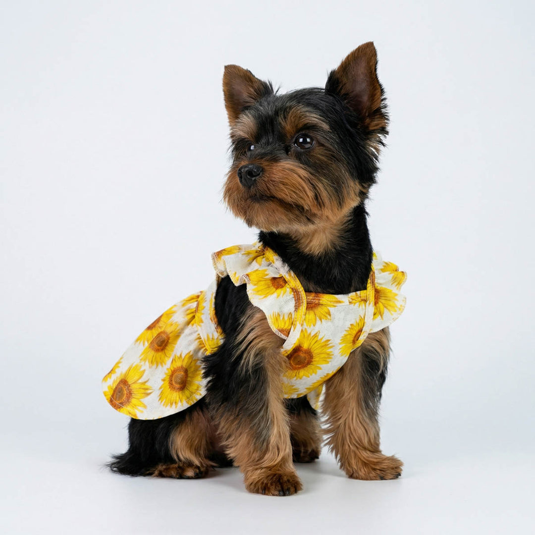 White Sunflower Dog Dress | Ruffle Sleeve Pet Apparel XX-small / Yellow White Sunflower Dog Dress | Ruffle Sleeve Pet Apparel XX-small / Yellow