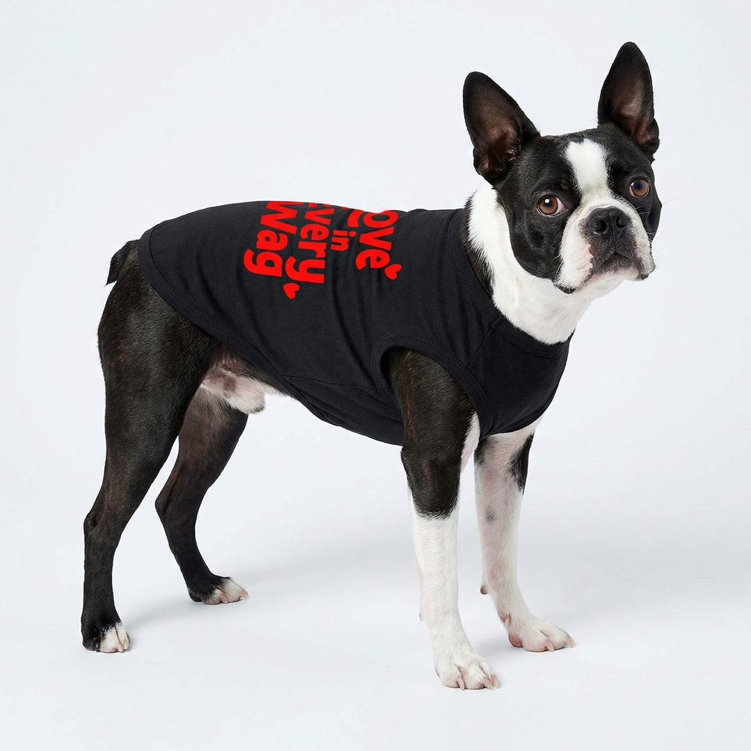 Boston Terrier in a black Valentine dog tank top with 'love in every wag' lettering