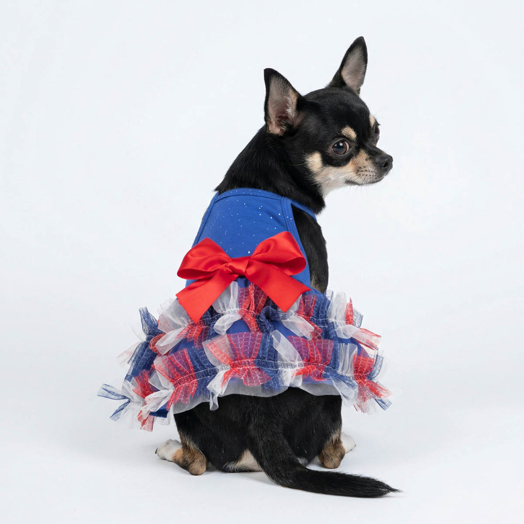 Chihuahua looks back with a 4th of July dress for dogs