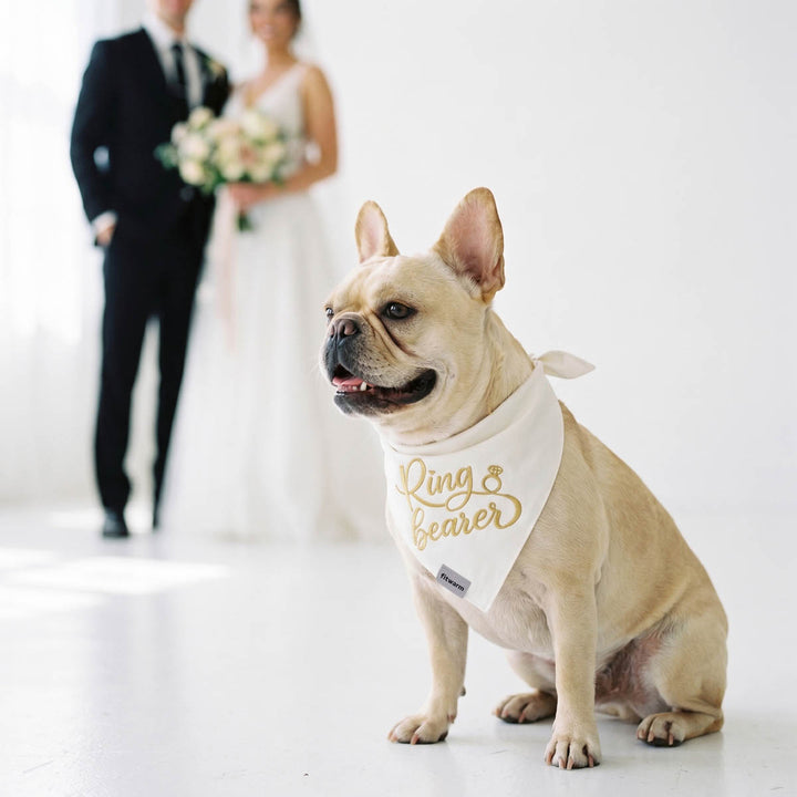Dog wearing a 'Ring Bearer' bandana with a wedding couple in the background
