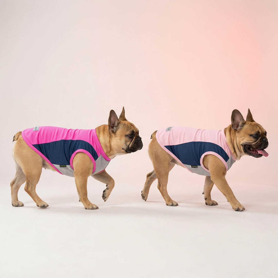French Bulldog walking in a pink background with 2 pack summer dog sun protection shirts with breathable mesh fabric