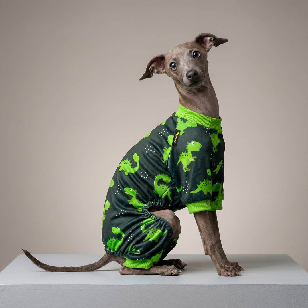 Italian Greyhound wearing a green dog pjs in a grey background