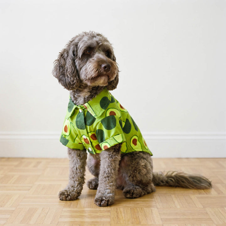 Small dog sitting on the floor in a tropical avocado dog t-shirt