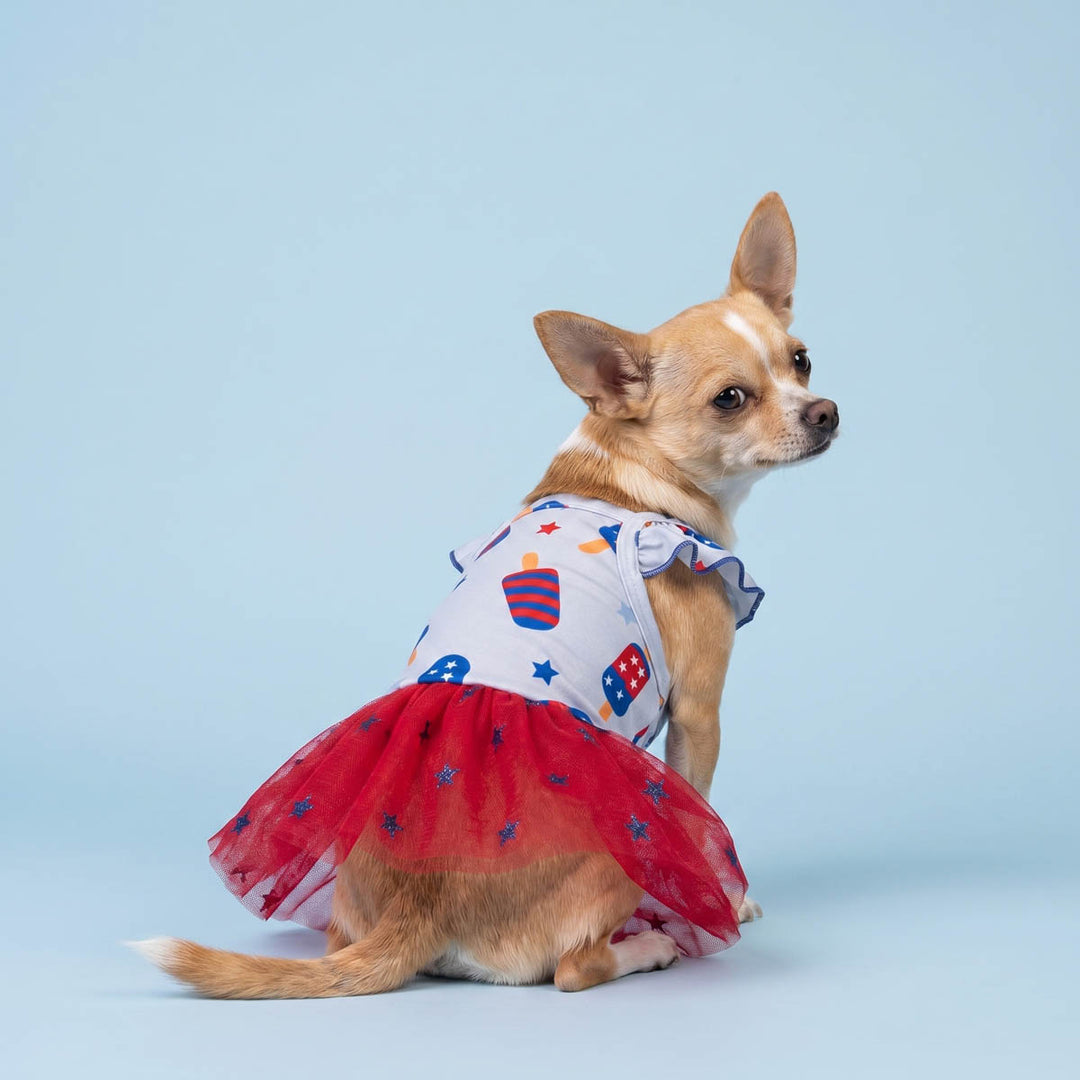 Back view of Chihuahua sitting on a bue background with a 4th of July ruffle dog dress with ice pop prints