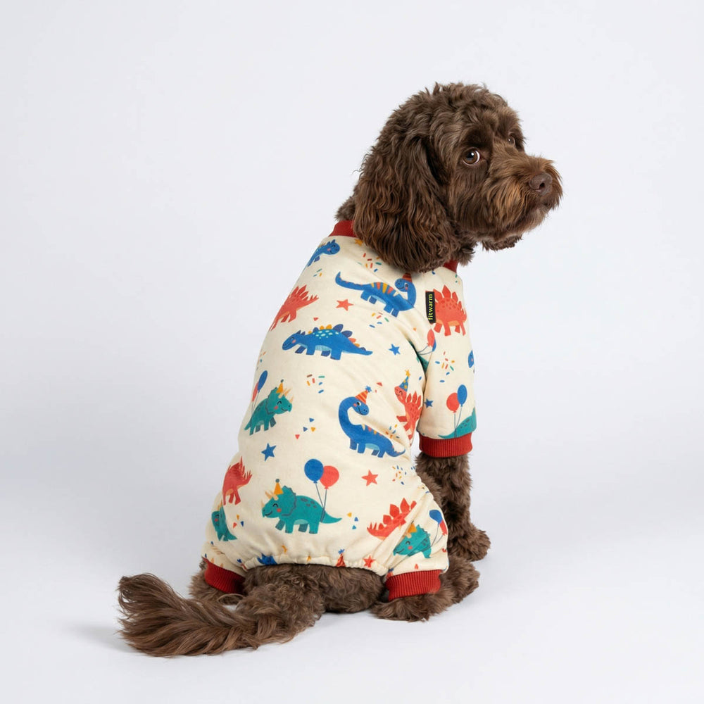Dog wearing a colorful dinosaur-themed dog birthday onesie on a white background