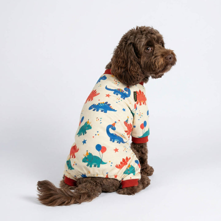 Dog wearing a colorful dinosaur-themed dog birthday onesie on a white background