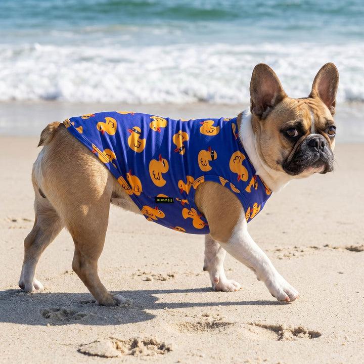 French Bulldog walking on the beach with a breathable shirt for dogs