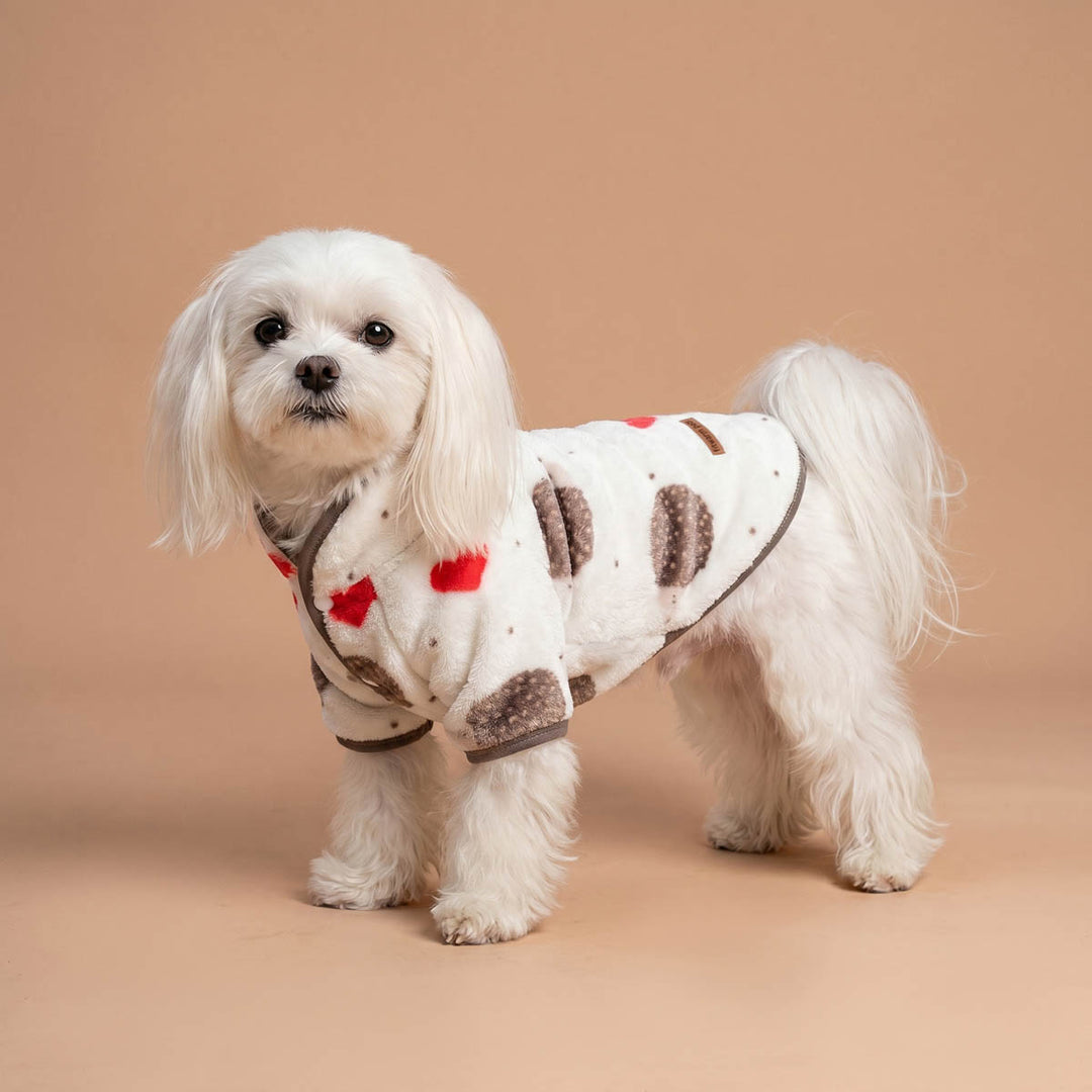 Maltese wearing a fuzzy hedgehodge dog sweater and standing on a beige background