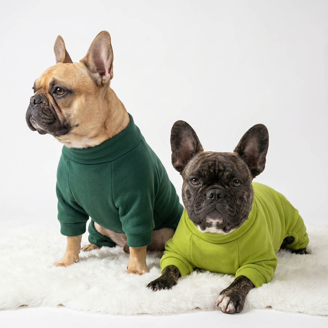 Two French Bulldog sitting on a blanket with cozy dog pjs
