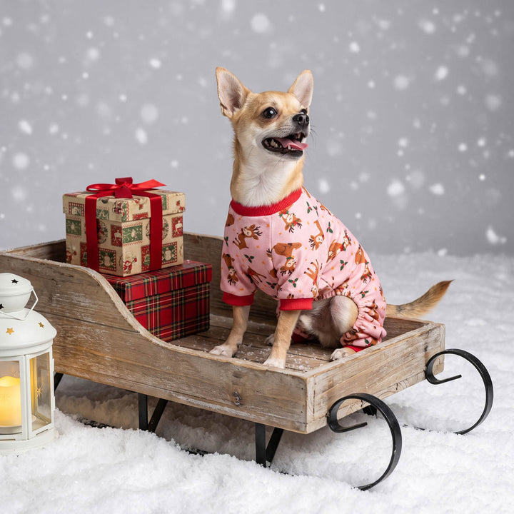 Small dog wearing pink holiday dog pjs with a reindeer print sits in a rustic wooden sleigh filled with wrapped Christmas presents
