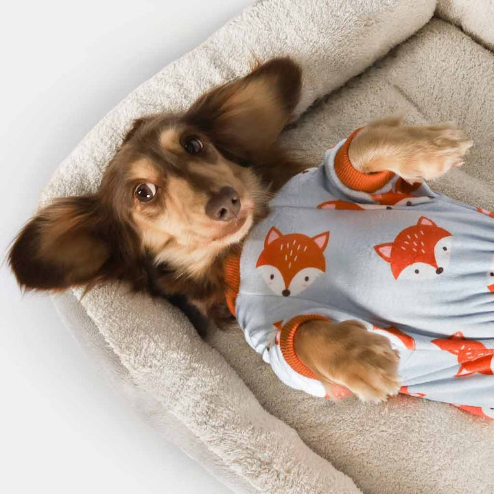Dachshund in a Fox Print Dog Pajamas - Fitwarm Dog Clothes
