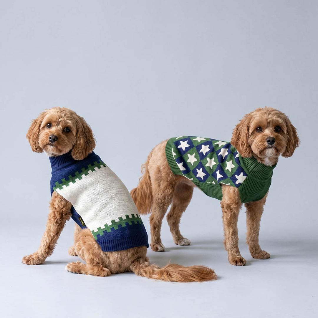 Two dogs standing on a blue background with cozy 2 pack dog knitted sweaters