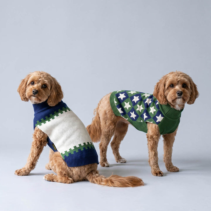 Two dogs standing on a blue background with cozy 2 pack dog knitted sweaters