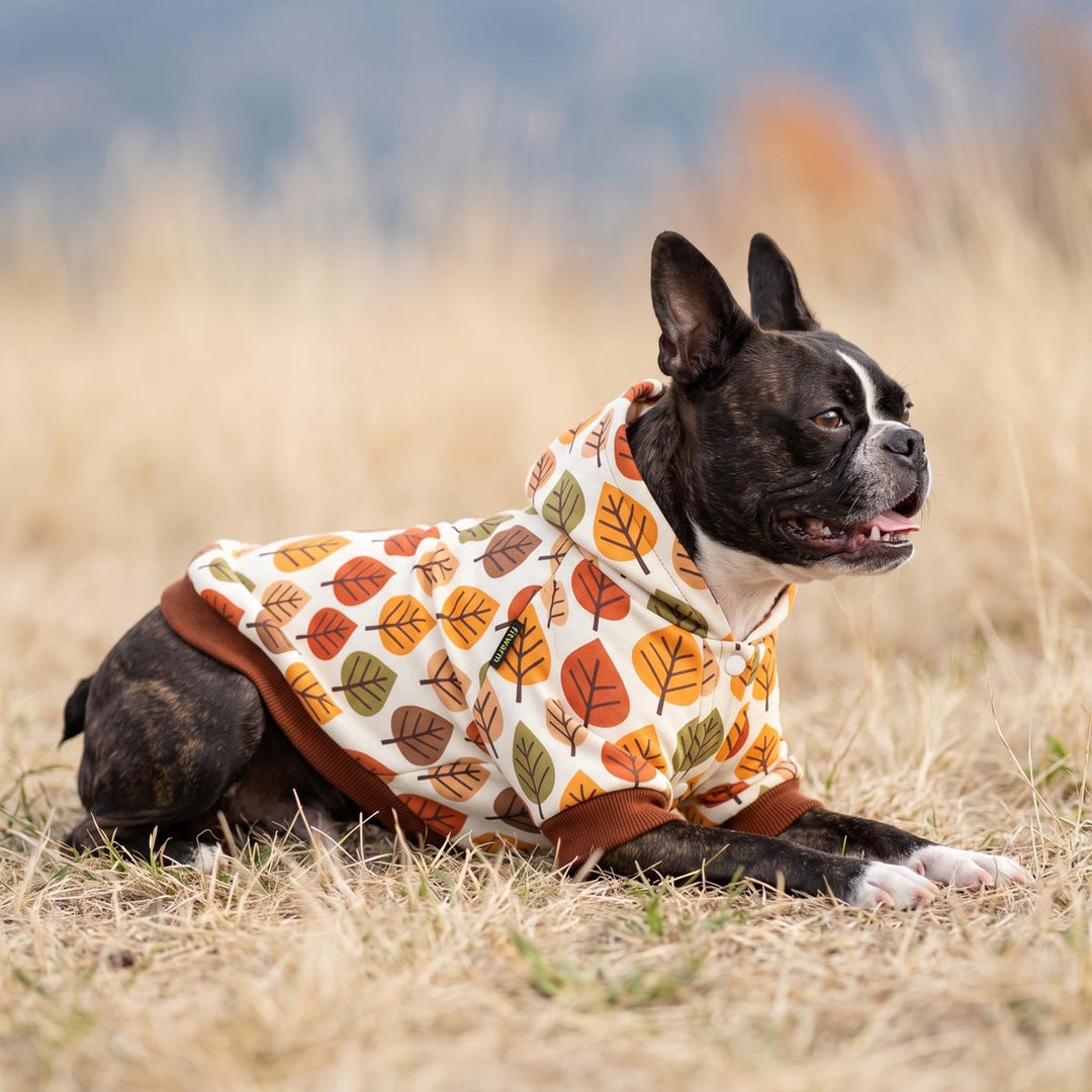 Boston Terrier lying on the grass with a leaves prints dog hoodie