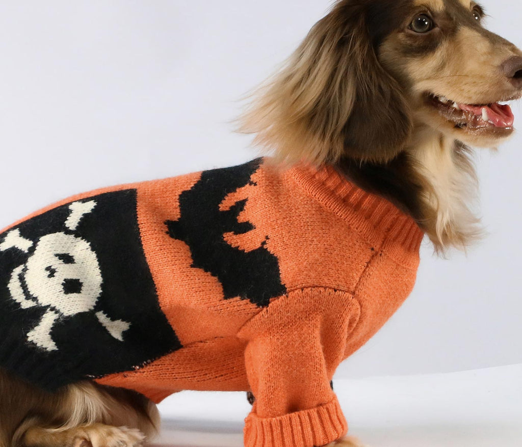 Spooky Halloween Dachshund Sweater - Fitwarm