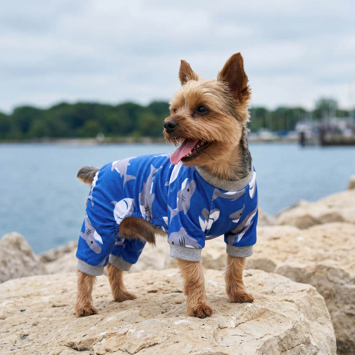 Yorkie wearing a funny shark prints dog onesie on a rock