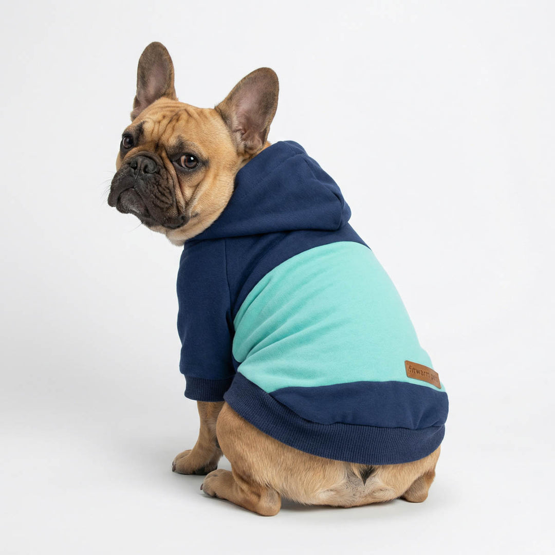 French Bulldog in a color block dog hoodie and look back